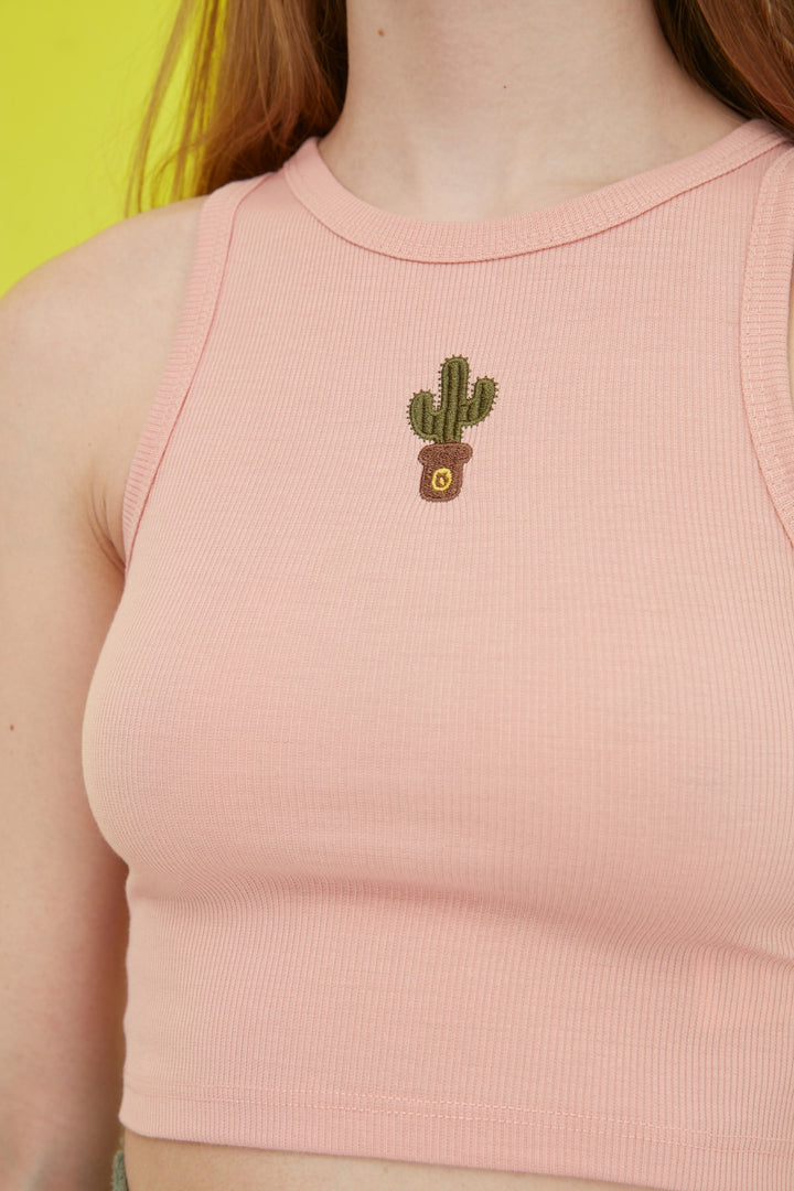 טופ Cactus